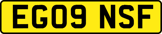 EG09NSF