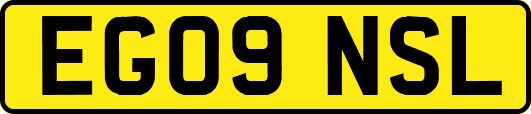 EG09NSL