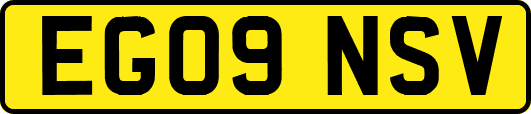EG09NSV