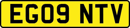 EG09NTV