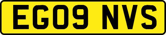 EG09NVS