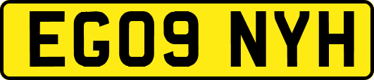 EG09NYH