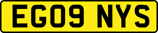 EG09NYS