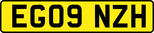 EG09NZH