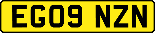 EG09NZN