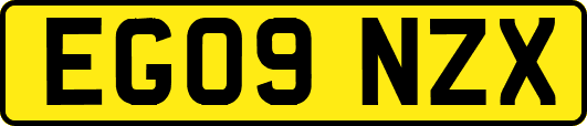 EG09NZX