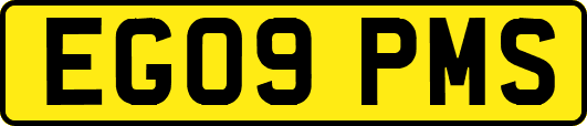 EG09PMS