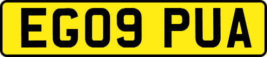 EG09PUA