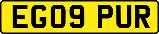 EG09PUR