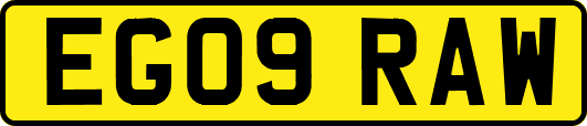 EG09RAW