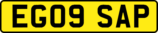 EG09SAP