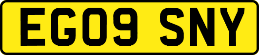 EG09SNY