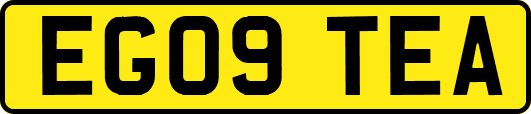 EG09TEA