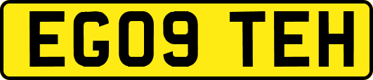 EG09TEH