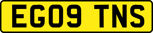 EG09TNS