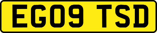 EG09TSD