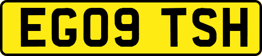 EG09TSH