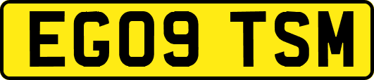 EG09TSM