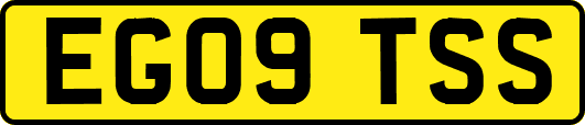 EG09TSS