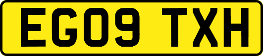 EG09TXH