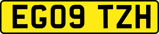 EG09TZH