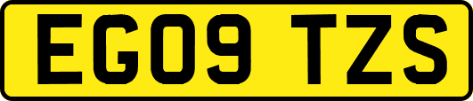EG09TZS