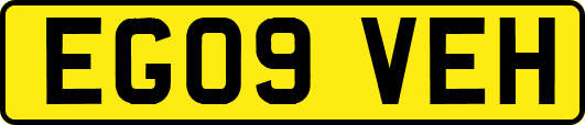 EG09VEH