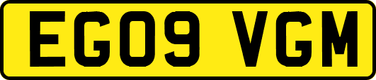 EG09VGM