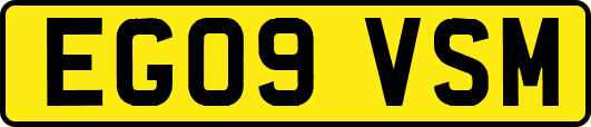 EG09VSM