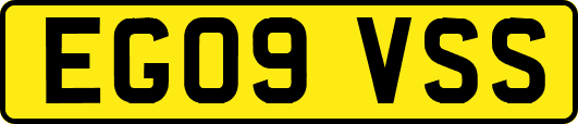 EG09VSS