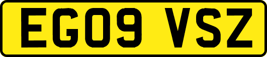 EG09VSZ