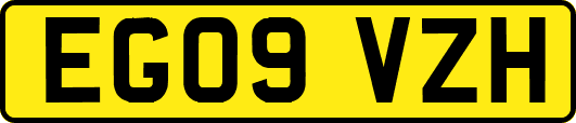 EG09VZH