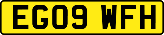 EG09WFH