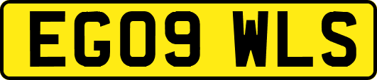 EG09WLS