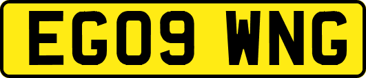 EG09WNG
