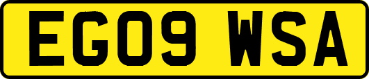 EG09WSA