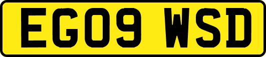 EG09WSD