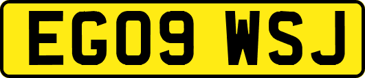 EG09WSJ