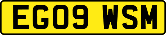 EG09WSM