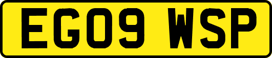 EG09WSP