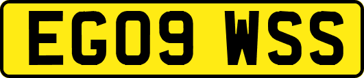 EG09WSS