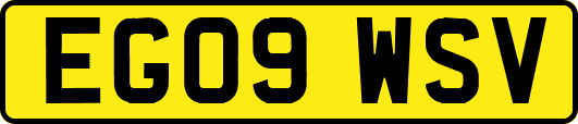 EG09WSV