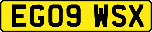 EG09WSX