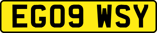EG09WSY