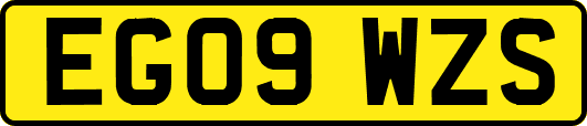 EG09WZS