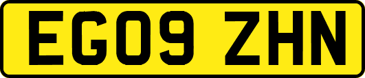 EG09ZHN
