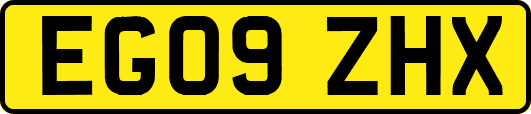 EG09ZHX