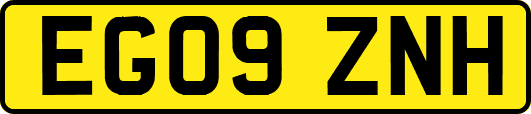 EG09ZNH