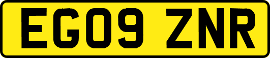 EG09ZNR