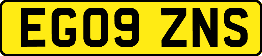 EG09ZNS